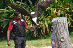 Jurong Bird Park, FamilyFoodTravels.com, Linu Freddy