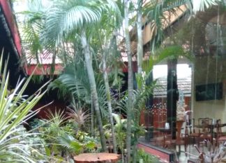 D Café, T. Nagar D Cafe, Linu Freddy, FamilyFoodTravels.com