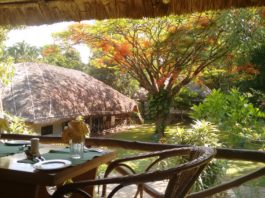Spice Village, Linu Freddy, FamilyFoodTravels.com