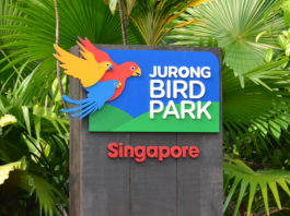 Jurong Bird Park, FamilyFoodTravels.com, Linu Freddy