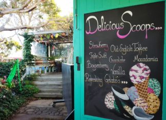 Robe Icecream Shop, Linu Freddy, FamilyFoodTravels.com