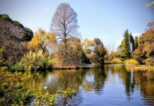 Adelaide Botanic Gardens