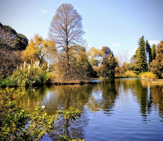 Adelaide Botanic Gardens