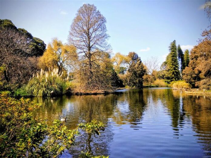 Adelaide Botanic Gardens